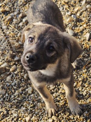 594068317 2693190944398724 6856950888709622371 n