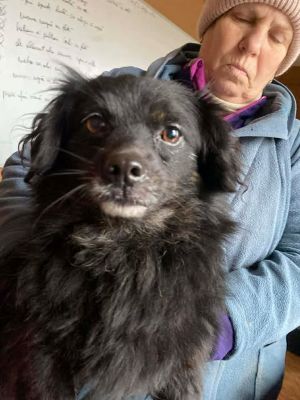 594075413 25383828631257724 9003276033158838358 n