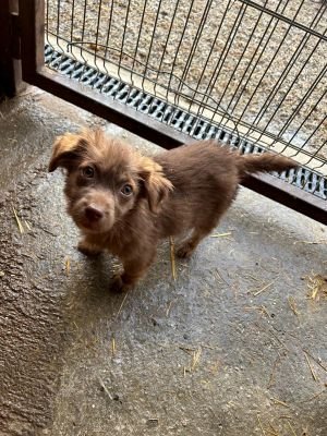 594131473 25360507906923130 2206448804712112988 n