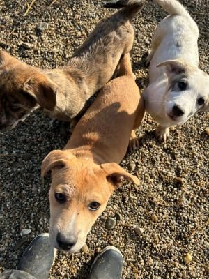 594147246 4260817817530130 2549475670805890640 n