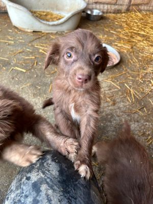 594164034 25360507426923178 5269505021413027884 n