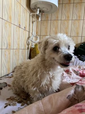 594396568 1392581189060485 4506536628394944733 n