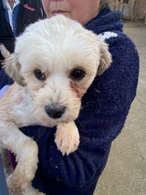 594461112 835794375830545 648271000485567312 n