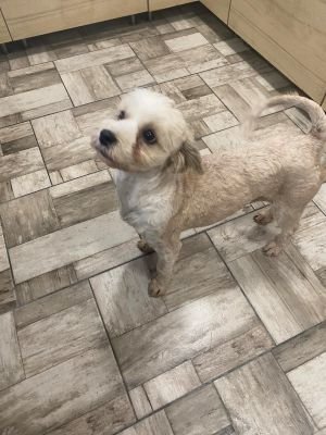 594464185 2249714528773452 8409048505690397366 n