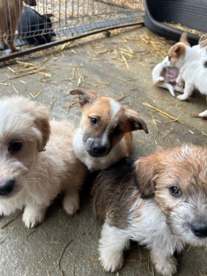 594513939 2119818841884836 562365208038583502 n