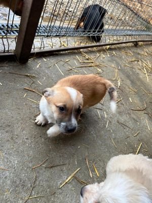 594529489 2119818851884835 1843549451474891555 n