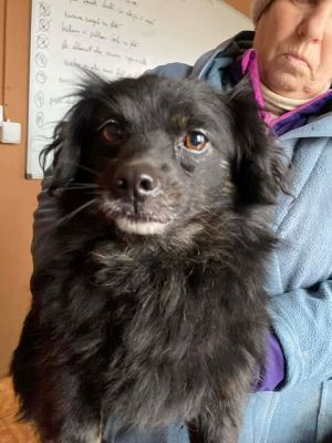 594852404 25383827631257824 3967119433127359589 n