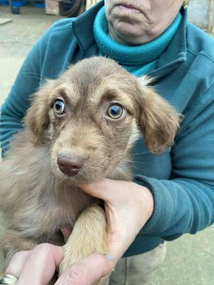 594954373 826591496848237 8928831530894037185 n