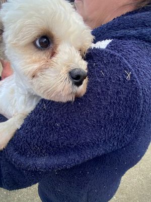 594984394 2132643597544742 7486095402678599197 n