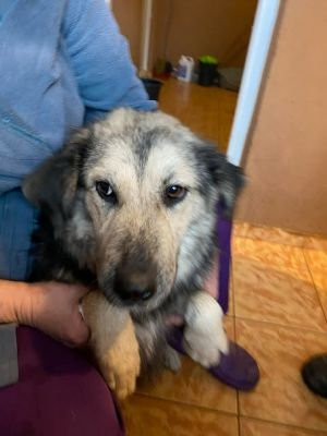 595659163 25383966687910585 6147365080233285187 n