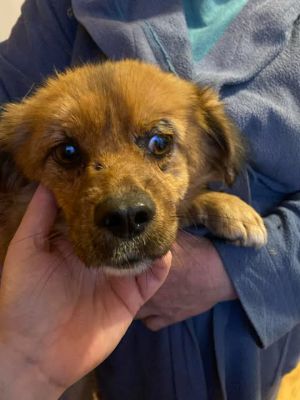 595822422 25381933461447241 4319452103894748136 n