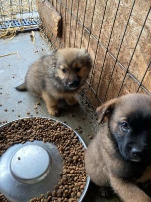 597142867 854080540878229 8384236680671867382 n