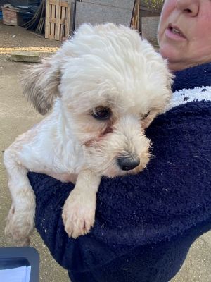 597146377 1568101067423725 51074779024551190 n