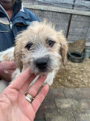 597148482 1649836323061362 8608673176358828281 n