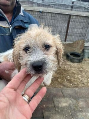 597153393 1646674432843188 6230069278398964323 n