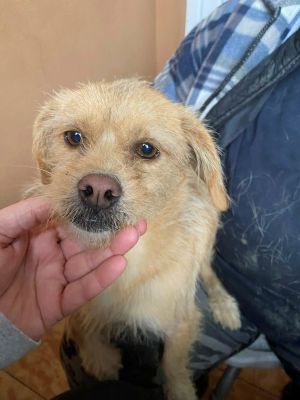 597154788 3415754078599978 4699475743879044550 n