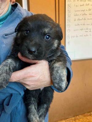 597156341 1345294466893862 626013919001156226 n