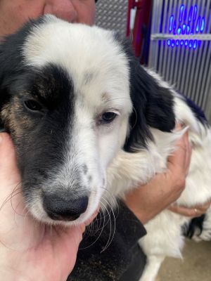 597157658 1558910251795738 7985032024991952090 n