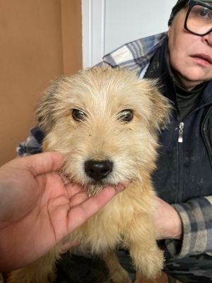 597158025 1191897636247148 8037366796773624212 n