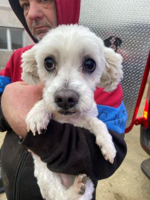 597169995 1168942222107337 8063309518737483013 n