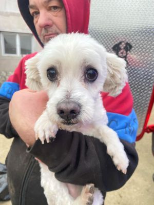 597176766 1891689454764011 7306139837941271989 n