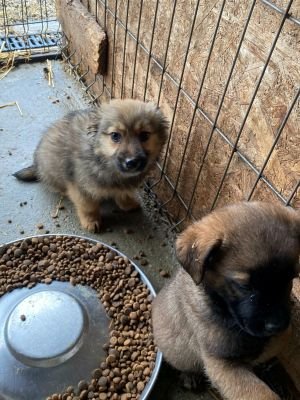 597187468 882040967671599 8591982012982922216 n