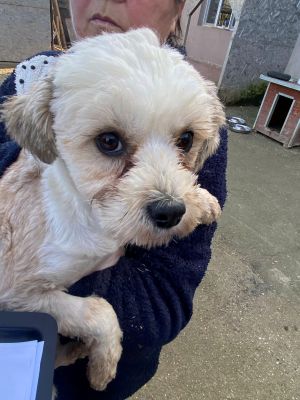 597205415 1230044692277989 8878830631289194051 n