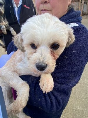 597213304 4305637166427186 4887737780515194233 n