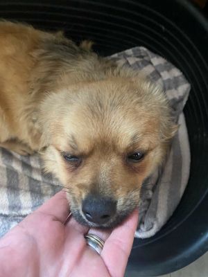 597227015 1394311662100036 98562566379866904 n