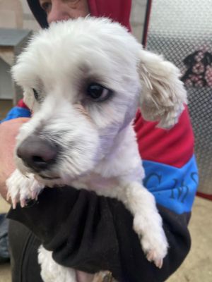 597230079 4223457037965268 7971728841620679818 n