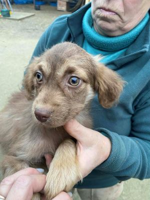 597258032 1592596515100681 762962142046789151 n