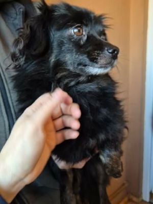 597270257 1426980162476488 388690286185391001 n