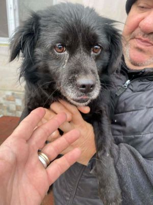 597286386 2260306044454134 3924545382529318337 n