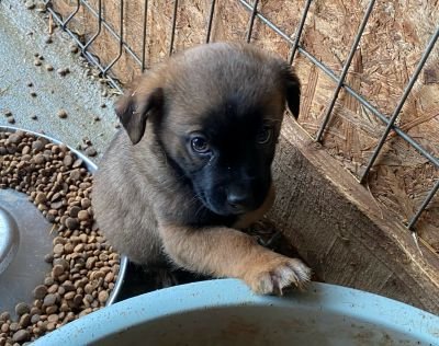 597286386 881261411092110 5625224955718560817 n