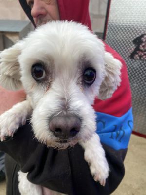 597296821 1341185057336015 6521227618356894799 n