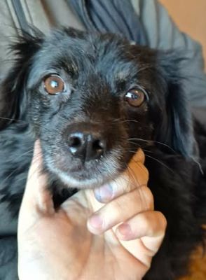 597308666 1390959249231096 1069430330687339127 n