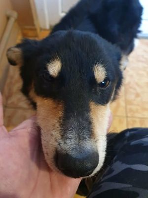 597310442 25448025351504718 81491535949266186 n