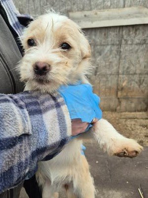 597421143 1442365560638823 8510427347316637937 n