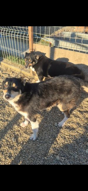 597434614 2363756710724021 4860858681209587003 n