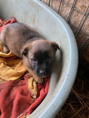 597454218 2393961954387940 1014695929086364361 n