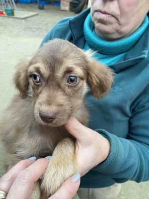 597454218 834894522759131 5139260732762826171 n