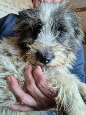 597463671 1384531453370827 6955773818554076587 n