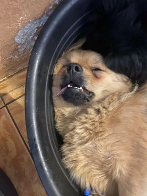 597481321 1164325198766206 5857824210526192981 n