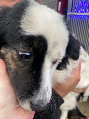 597489915 849180467889062 1445456220913973976 n