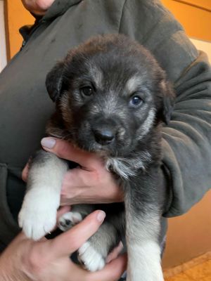 597499309 870005708835042 1904468808819855194 n