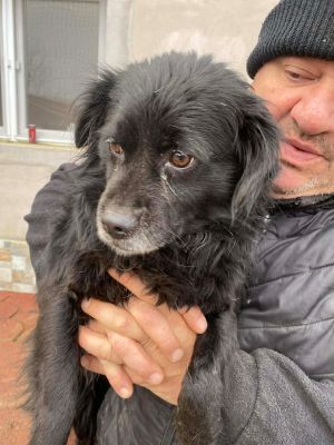 597500056 1933507714181710 3300138686667921083 n