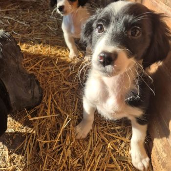 597504869 1321356183128929 81697069568693190 n