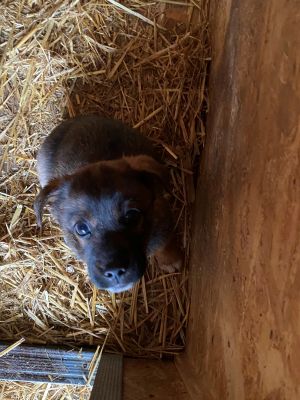 597512912 1579109569763078 70376158422991098 n