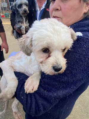 597565260 2326822951112279 4122569972665829782 n