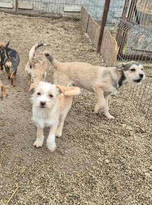 597574426 1417741653271188 8076616396629274975 n